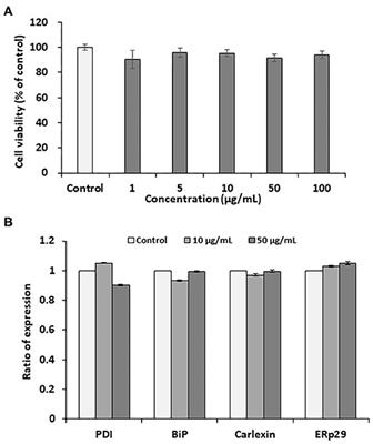 Impact of Endoplasmic Reticulum Stress Sensors on Pectolinarin Induced Apoptosis